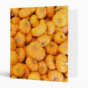 Small Orange Fall Harvest Pumpkins Binder