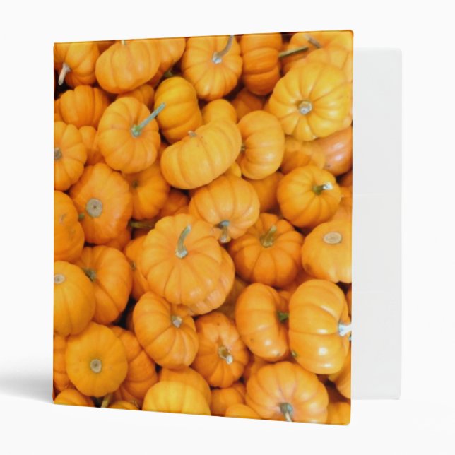 Small Orange Fall Harvest Pumpkins Binder (Front/Inside)