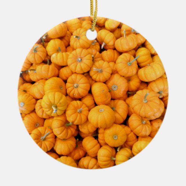 Small Orange Fall Harvest Pumpkins Ceramic Ornament (Front)