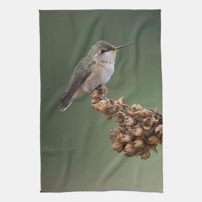 Small Orange Hummingbird Kitchen Towel (Vertical)