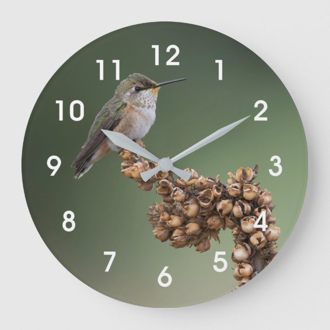 Small Orange Hummingbird  Large Clock (Front)