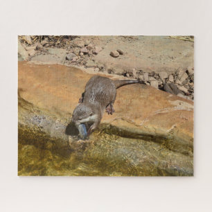 Small Otter Eating Fish, Jigsaw Puzzle