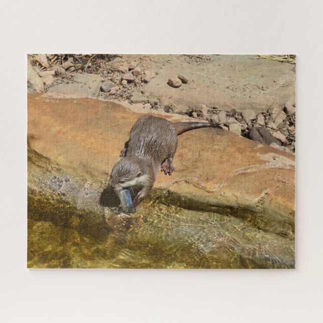 Small Otter Eating Fish, Jigsaw Puzzle (Horizontal)