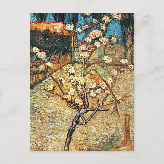 Small Pear Tree in Bloom by Vincent van Gogh Postcard (Front)