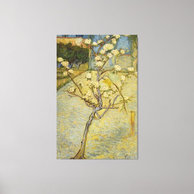 Small Pear Tree in Blossom Van Gogh Fine Art Canvas Print (Front)