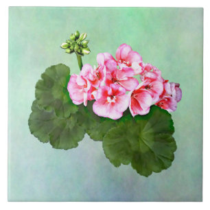 Small  Pink Geranium Tile