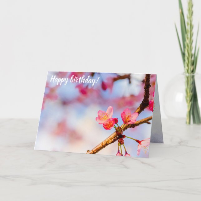 Small Pink Sakura Beauties In Springtime Card (Front)