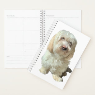 Small Planner Havanese Dog