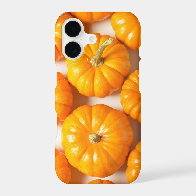 Small Pumpkins Cute Fall Photo Autumn (Back)