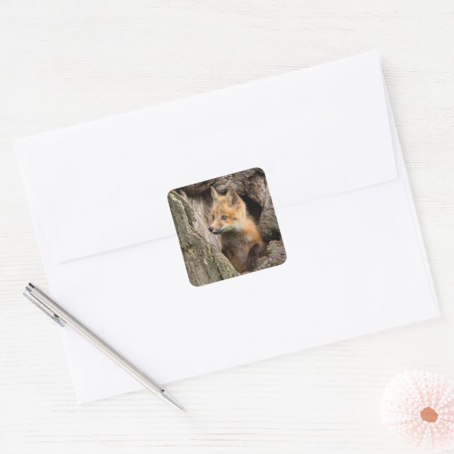 Small Red Fox in a Tree  Hollow Square Sticker (Envelope)