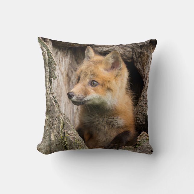 Small Red Fox in a Tree  Hollow Throw Pillow (Front)