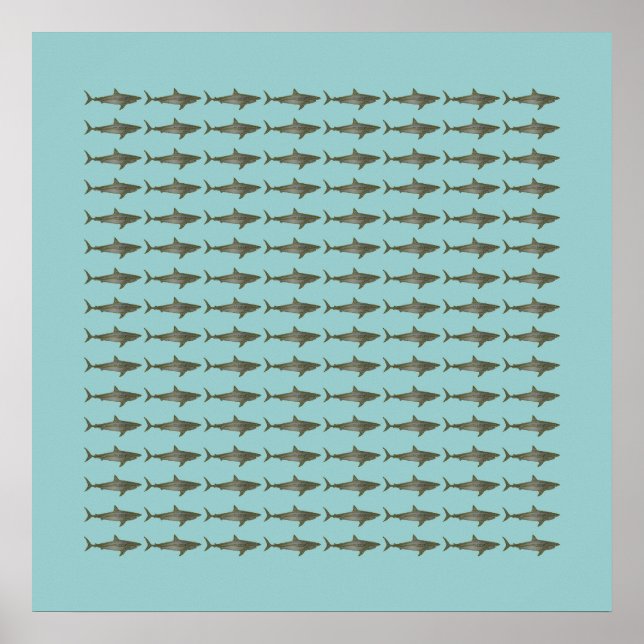 small sharks patterning poster (Front)