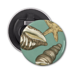 Small Shell Trio on Teal Bottle Opener
