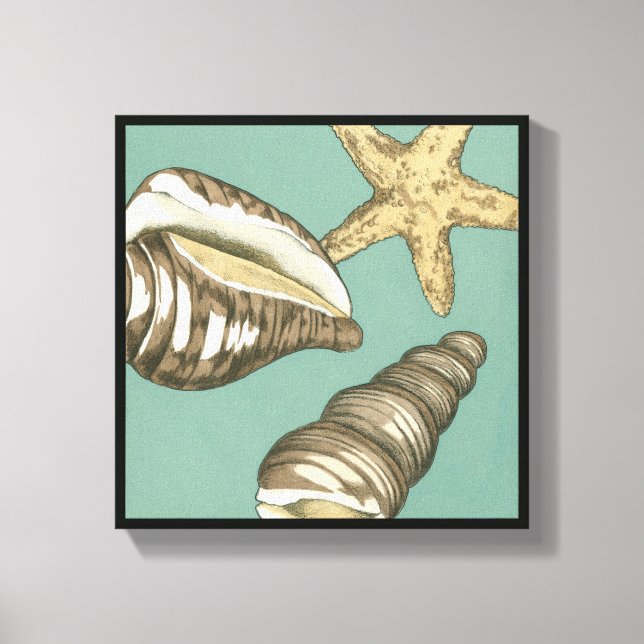 Small Shell Trio on Teal Canvas Print (Front)