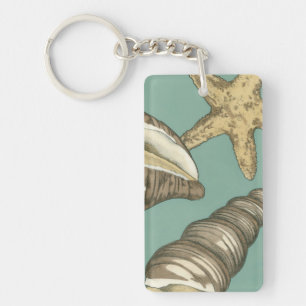 Small Shell Trio on Teal Keychain