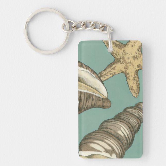 Small Shell Trio on Teal Keychain (Front)
