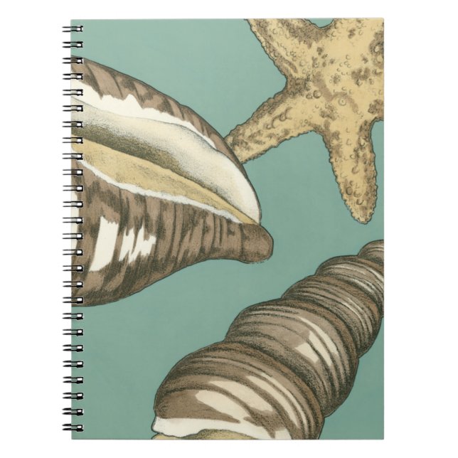 Small Shell Trio on Teal Notebook (Front)