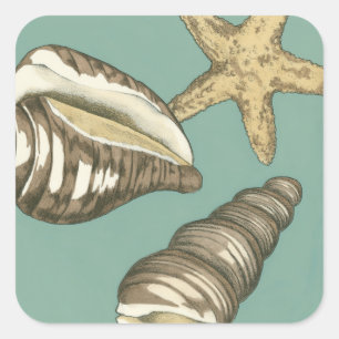 Small Shell Trio on Teal Square Sticker