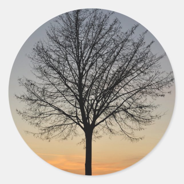 small tree sunset scenery, Baum Sonnenuntergang Classic Round Sticker (Front)
