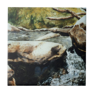 Small trout stream waterfalls watercolor. tile