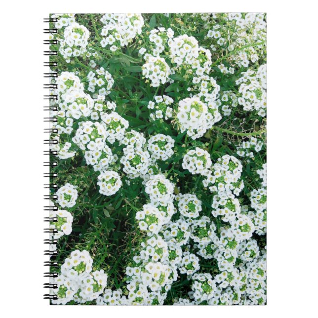 Small white flowers in the grass in the daytime in notebook (Front)