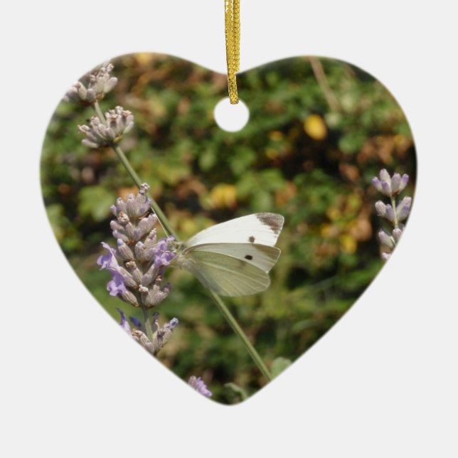 Small White Or Cabbage White Butterfly Ceramic Ornament (Front)