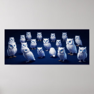 Small white owls poster