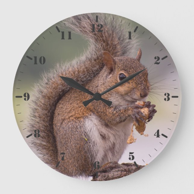 Small wild animal cute Florida squirrel close-up   Large Clock (Front)