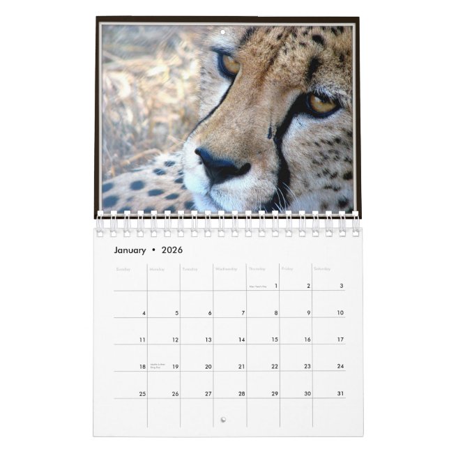 Small Wild Animal Faces Calendar 2012 (Jan 2026)