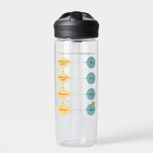 Small Wins Matrix (SWM v1.0) – Funny Flowchart Water Bottle (Front)