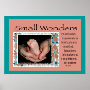 Small Wonders Poster