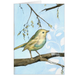 Small Yellow Bird Perched on a Branch Looking up