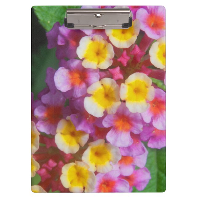 Small Yellow Pink and Purple Tropical Flowers Clipboard (Front)
