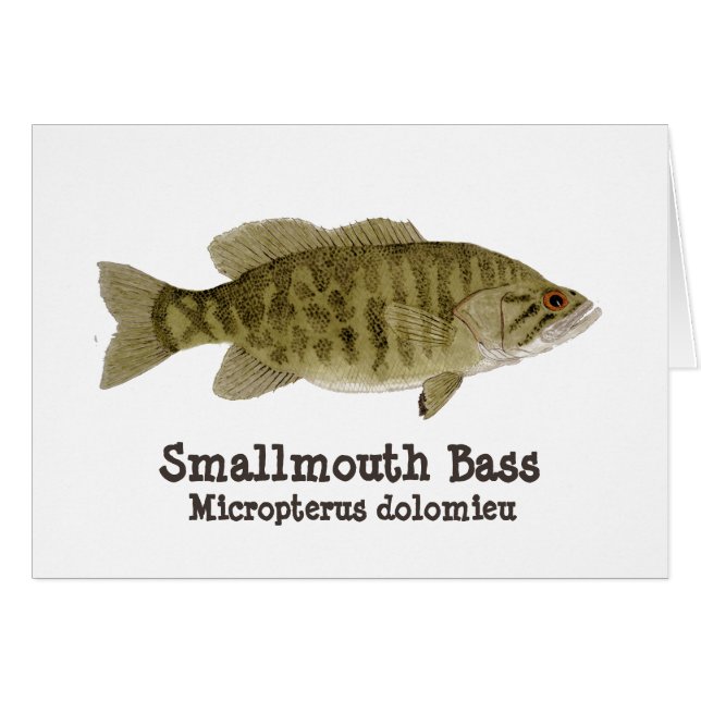 Smallmouth Bass Card (Front Horizontal)