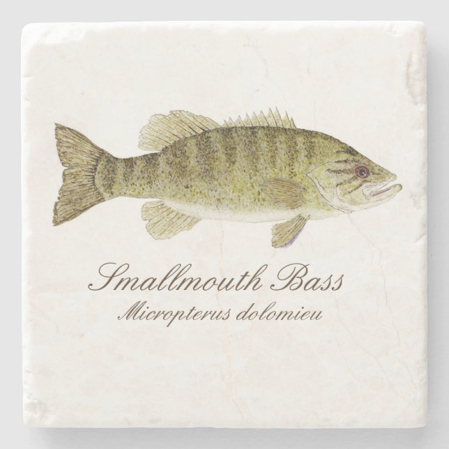 Smallmouth Bass Coaster (Front)