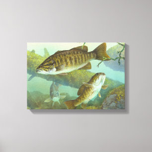 Smallmouth Bass Painting Canvas Print