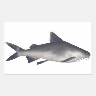 Smalltooth Catfish Sticker
