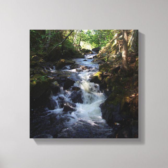 Smally Falls canvas print (Front)