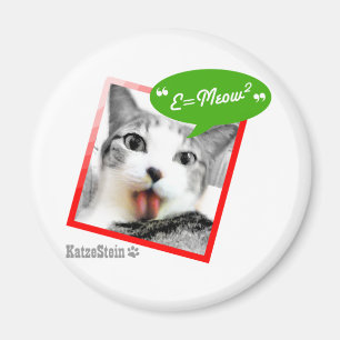 smart cat magnet