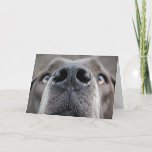 Smart customizable Great Dane card