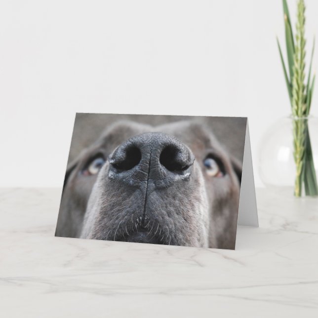 Smart customizable Great Dane card (Front)