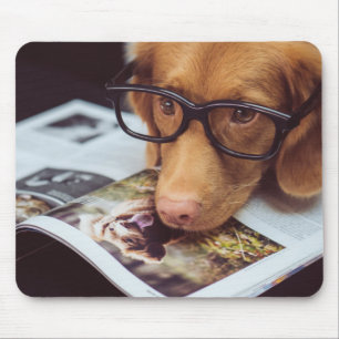 Smart Dog with Glasses on a Book Mouse Pad