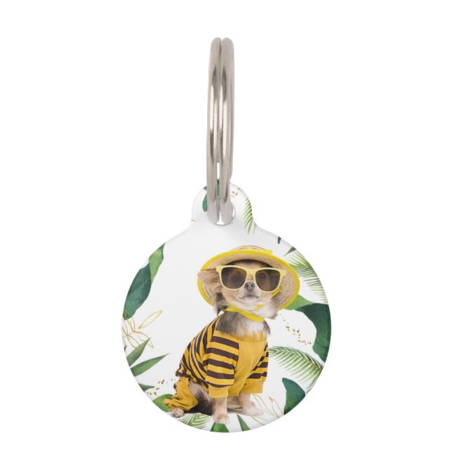 smart goggles pet tag (Front)