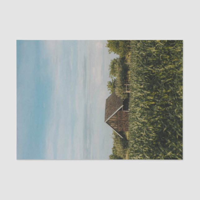 Smart Little Barn Cozied Up to a Cornfield Tissue Paper (Front)