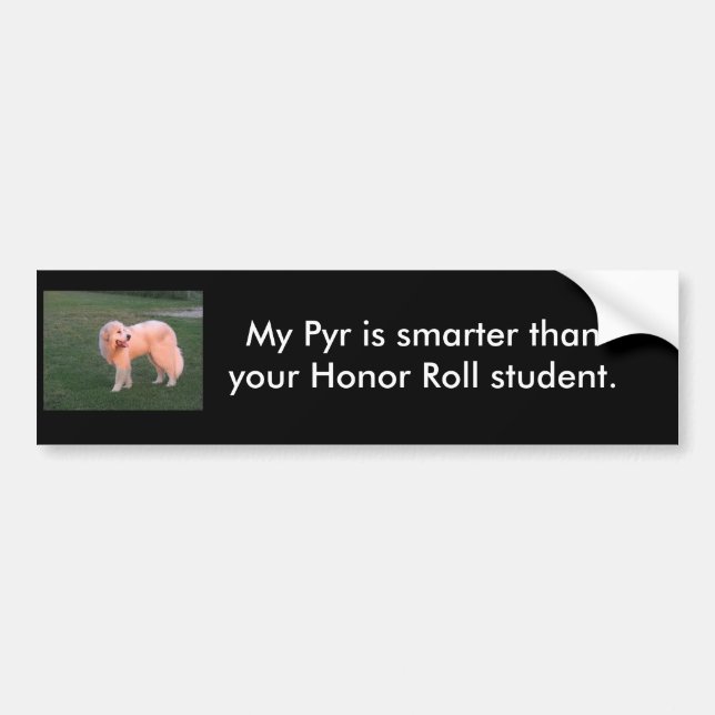Smart Pyr Bumper Sticker (Front)