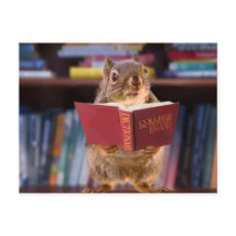 Smart Squirrel Reading a Dictionary