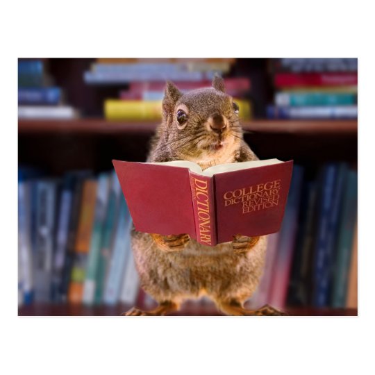 Smart Squirrel Reading a Dictionary Postcard | Zazzle.ca