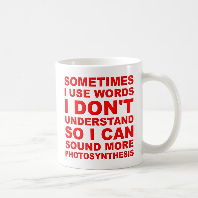 Smart Words Funny Mug (Right)