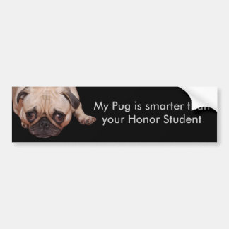 Smarter Pug Bumper Sticker
