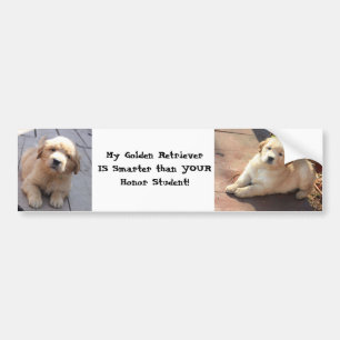 smarter than an honour student bumper sticker